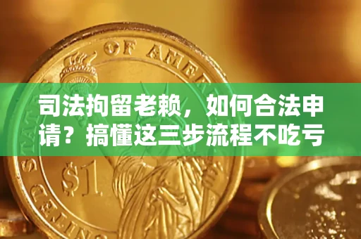 北京司法拘留老赖，如何合法申请？搞懂这三步流程不吃亏！