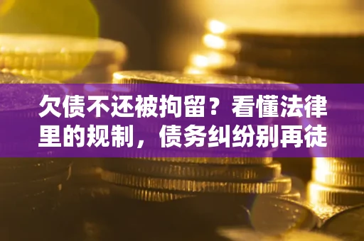 北京欠债不还被拘留？看懂法律里的规制，债务纠纷别再徒劳奔波