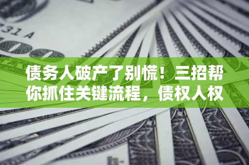 北京债务人破产了别慌！三招帮你抓住关键流程，债权人权益不再缩水