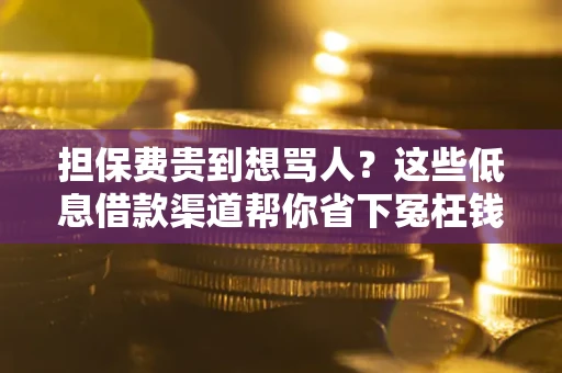 北京担保费贵到想骂人？这些低息借款渠道帮你省下冤枉钱